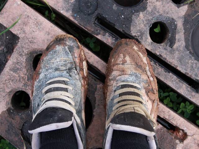 2010/07/post-13519-1280055423_thumb.jpg
