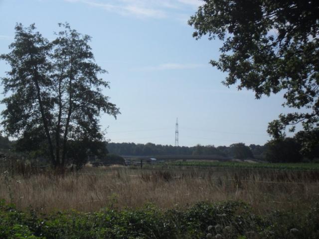 2010/07/post-16228-1280079337_thumb.jpg