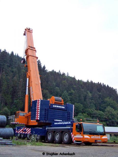 100_8703_Kopie.jpg