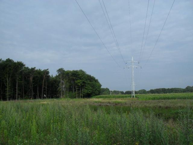 2010/08/post-16228-1280661230_thumb.jpg