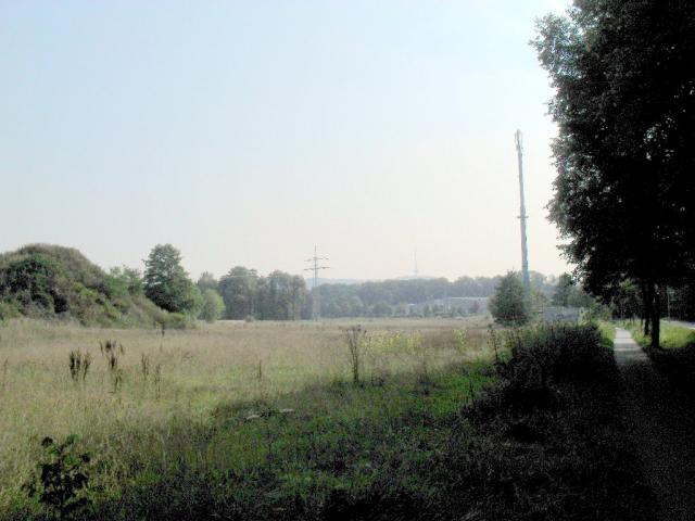 2010/08/post-16228-1281785864_thumb.jpg