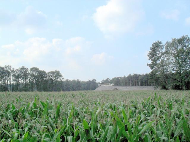 2010/08/post-16228-1281786082_thumb.jpg
