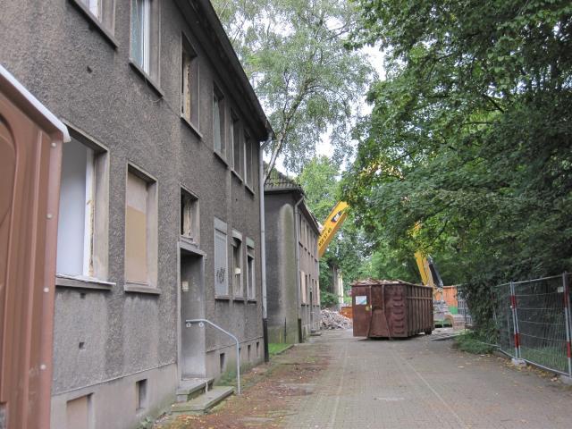 IMG_1568.JPG