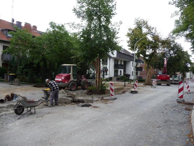 P1100582.jpg