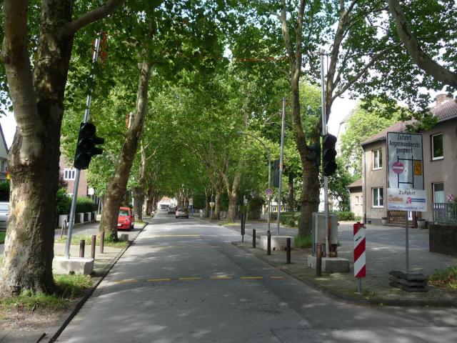 P1100742.jpg