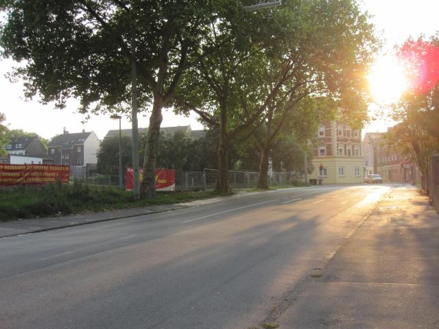 IMG_2530.JPG