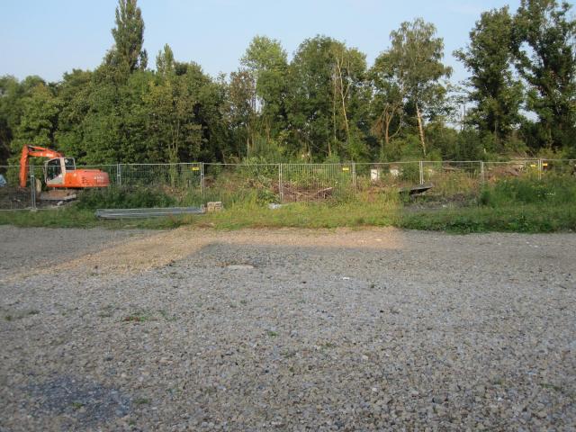 IMG_2541.JPG