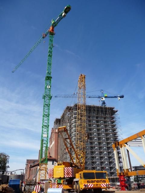 P1110019.jpg