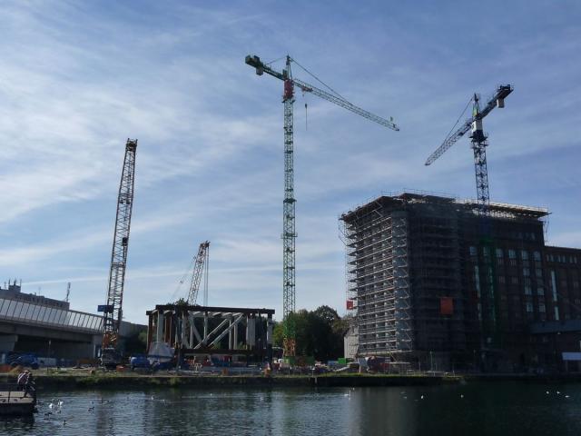 P1110031.jpg