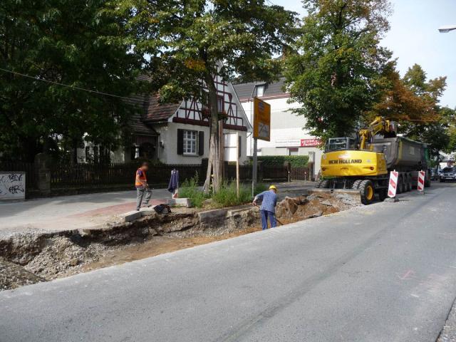 P1110281.jpg