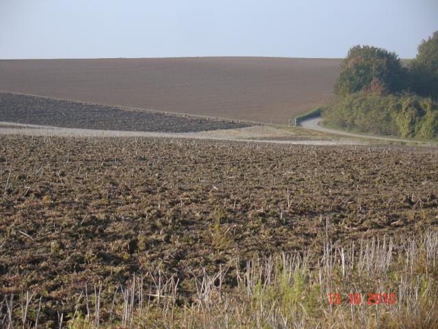DSC03722.JPG