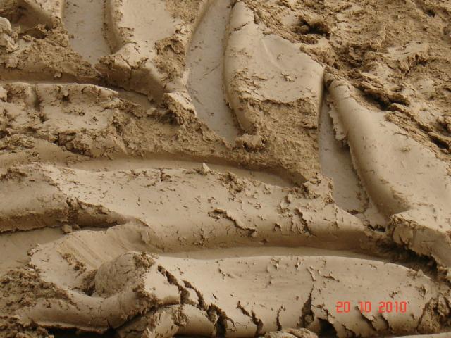 DSC03800.JPG