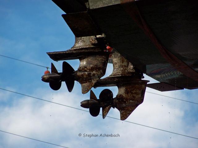 100_7873.jpg