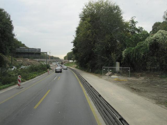 IMG_2910.JPG