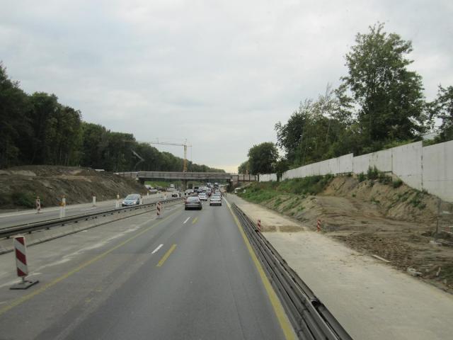 IMG_2911.JPG