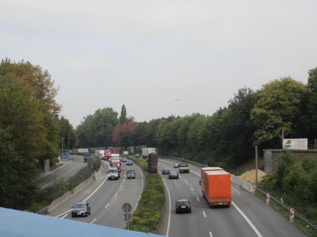 IMG_3688.JPG
