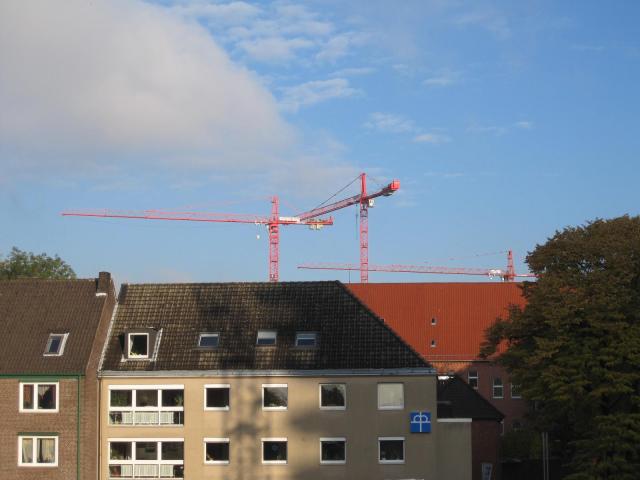 IMG_3917.JPG