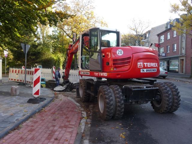 P1130397.jpg