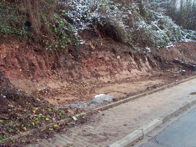 100_8086.jpg