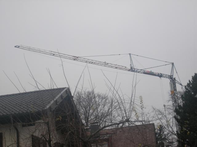 SANY0239.JPG
