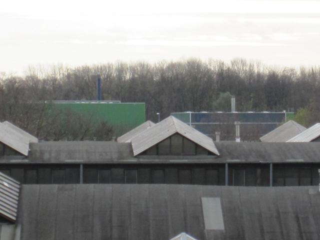 IMG_4147.JPG