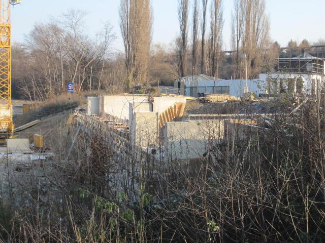 IMG_4455.JPG