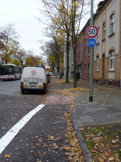 P1130920.jpg