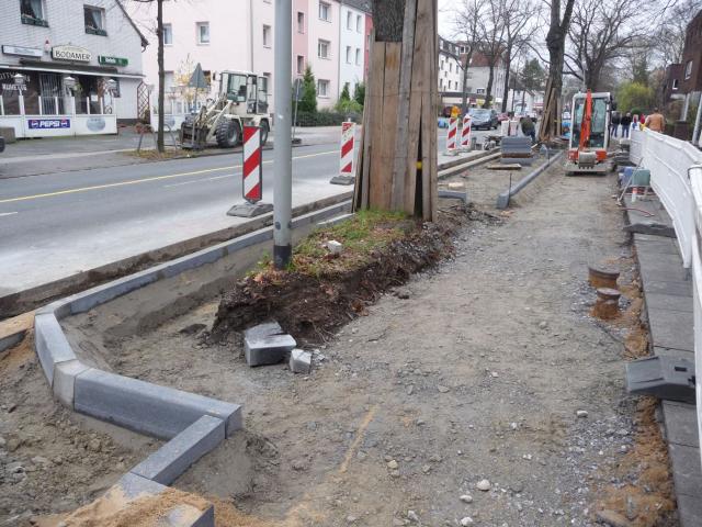 P1140241.jpg