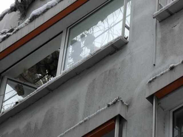 2010/12/post-15810-1292774550_thumb.jpg