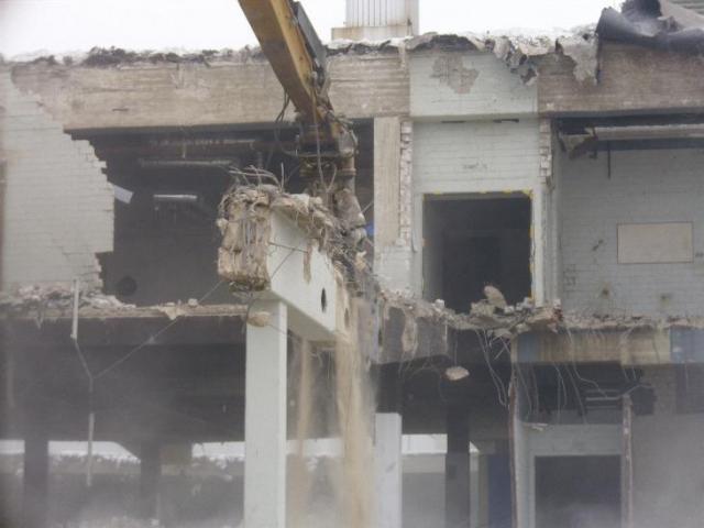 DSCI0728.JPG