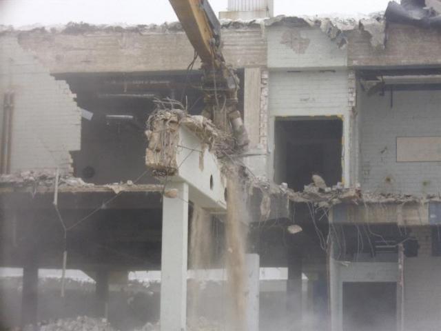 DSCI0729.JPG