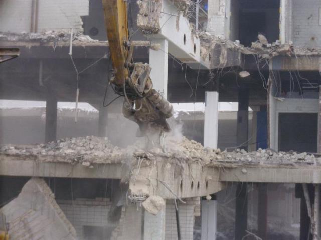DSCI0738.JPG