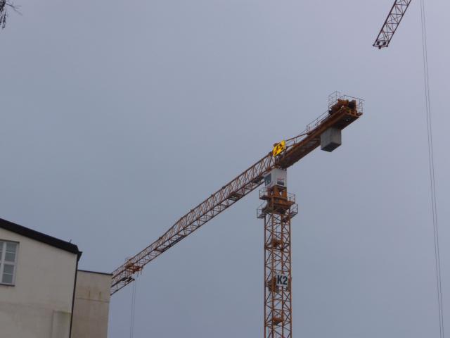 P1110478.JPG