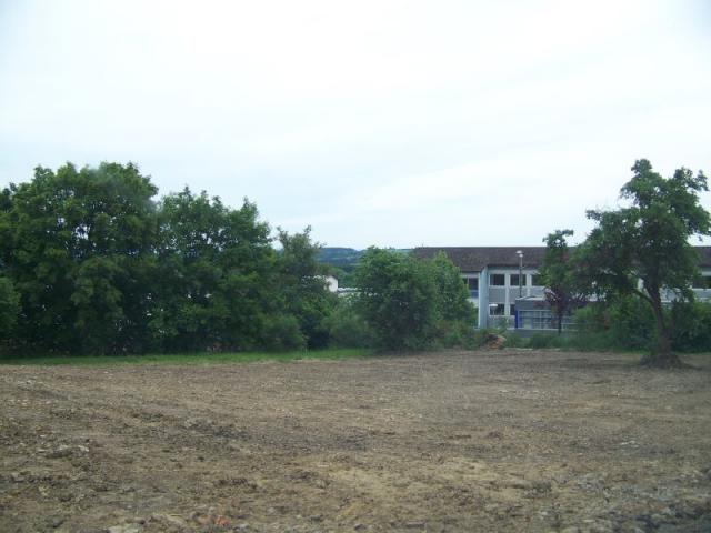 100_5124.jpg