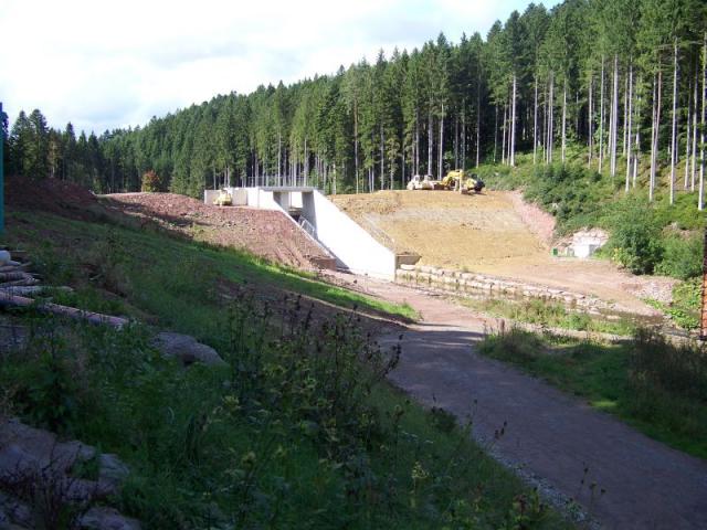 100_4353.jpg