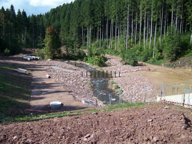 100_4376.jpg