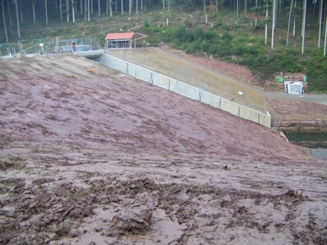 100_7455.jpg