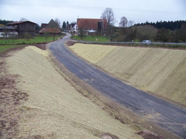 100_7999.jpg