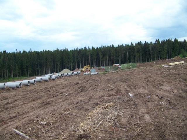 100_4022.jpg