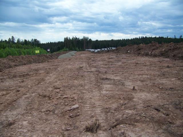 100_4037.jpg