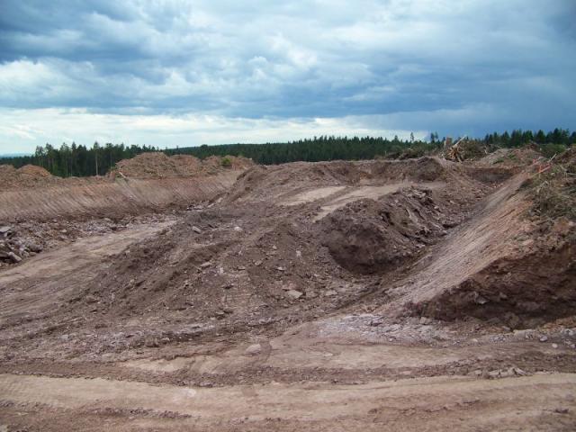 100_4075.jpg
