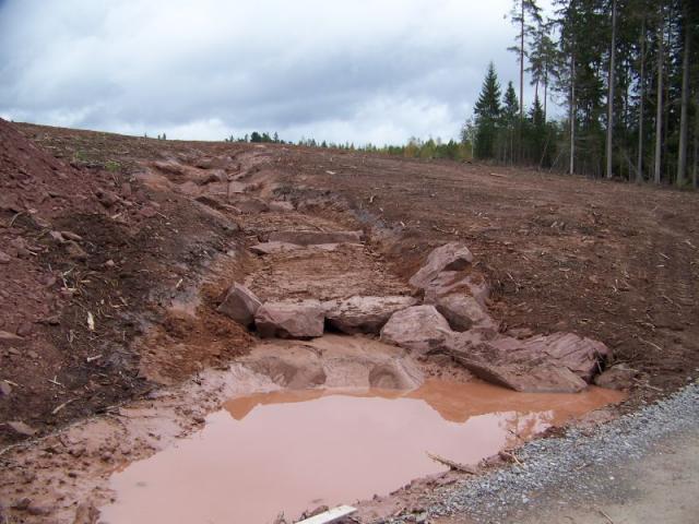 100_7489.jpg