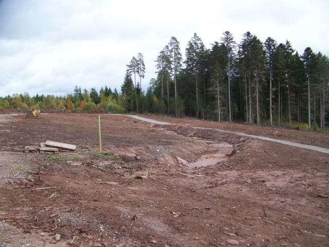 100_7528.jpg