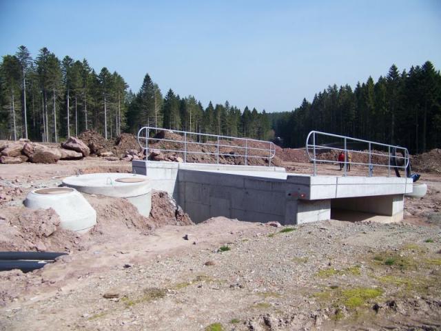100_1090.jpg