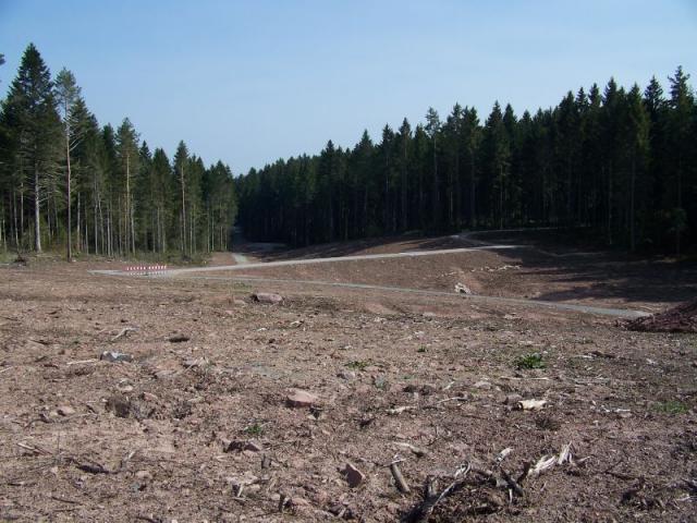 100_1095.jpg