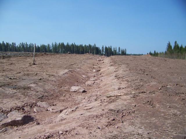 100_1097.jpg
