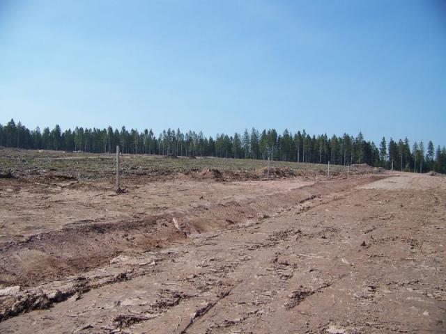 100_1102.jpg