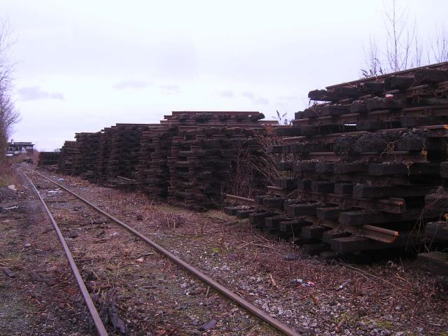 SA504843__Kopie_.JPG