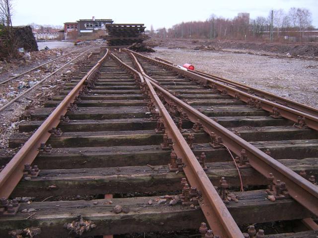 SA504844__Kopie_.JPG