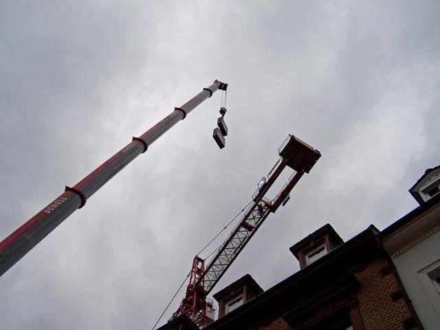 100_9155.jpg